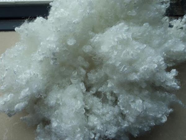 Polyester fibre